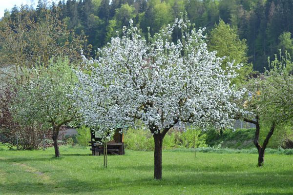 Pension Unterkircher Pension Unterkircher