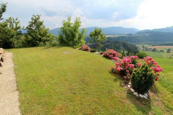 ploesch-v5 ploesch-v5