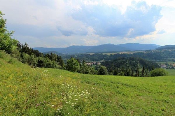 ploesch-v6 ploesch-v6